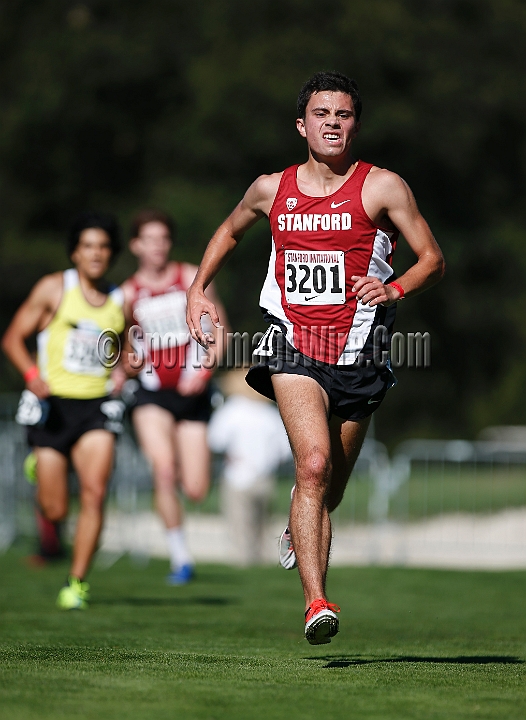 2013SIXCCOLL-076.JPG - 2013 Stanford Cross Country Invitational, September 28, Stanford Golf Course, Stanford, California.
